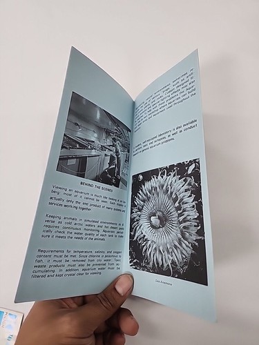 1973 National Aquarium Washington DC Fish Vintage Tourist Travel Brochure - Picture 4 of 7