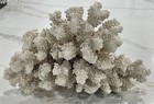 Foto 6 di 10