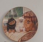 Foto 1 di 3