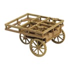Academy Kids Science & Nature Educational Toys