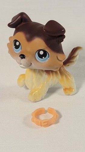 Littlest Pet Shop #58 Sage Border Collie Brown Paw Up With Collar