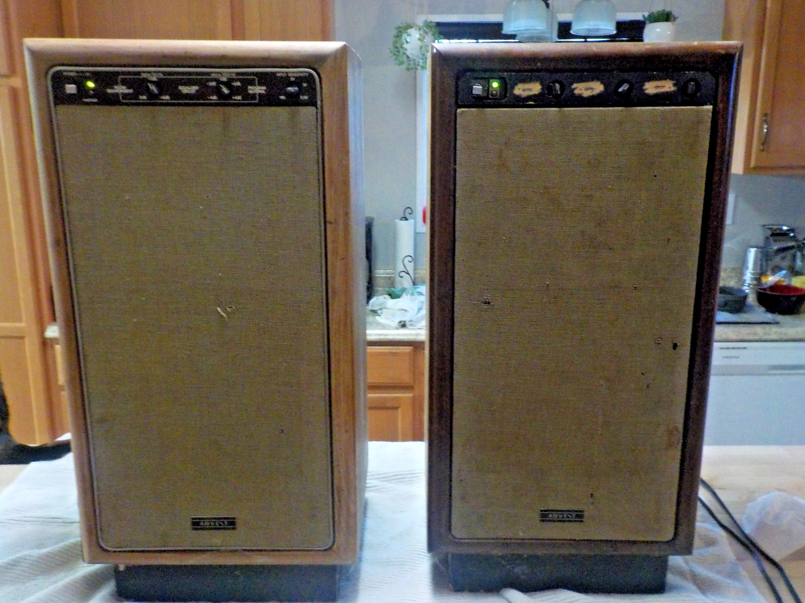 Rare VINTAGE ADVENT SPEAKERS The Powered Advent Loudspeaker 