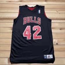 Chicago Bulls NBA Basketball Youth Academy Jersey Youth Size Large