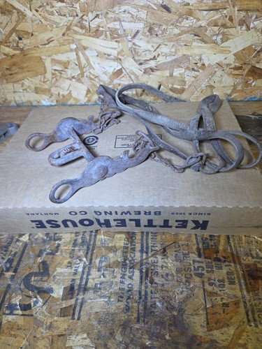 Vintage Iron Kissing Birds Western Horse Bit & Reins- August BUERMANN?