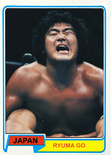 2025 LJACards "Japan Tour 1980" Puroresu Wrestling Trading Cards ACEO - Bild 33 von 44