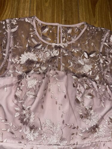 BNWT Forever Stunning Ashton Embroidered Blush Lace Short Sleeved Dress Size 12 - Picture 2 of 7
