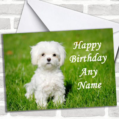 Maltese Terrier Dog Birthday Customised Card | eBay UK