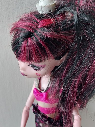 Monster High Doll Draculaura Skull Shores X3485 2012 Rare - 第 12/14 張圖片