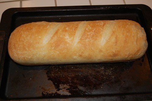 SOURDOUGH STARTER YEAST VERY ACTIVE AND OVER 150 YRS old LARRY - Picture 10 of 12