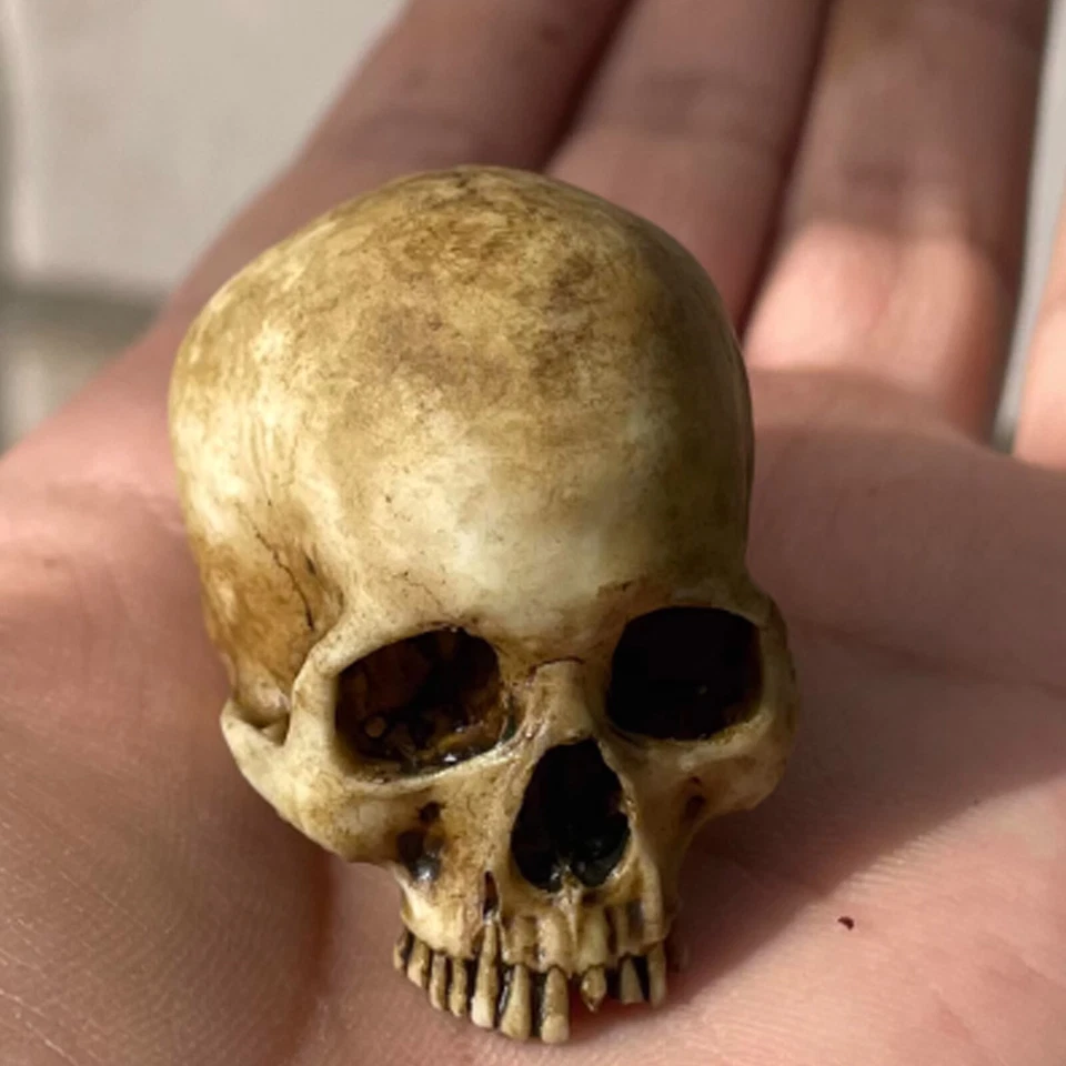 Modelo PVC Esqueleto Calavera Humana Escala 1/6 para Figura de Acción 12" Accesorios Piezas Foto 3 de 4