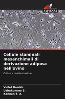 Violet Beulah (U. A.) | Cellule Staminali Mesenchimali Di Derivazione Adiposa...
