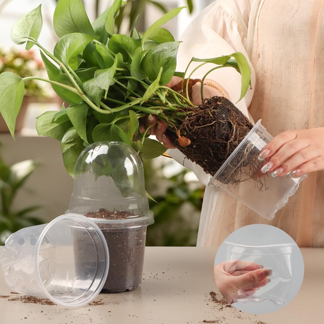 Transparent Nursery Pots 4Inch with Humidity Domes for Seeds Starting, Clear