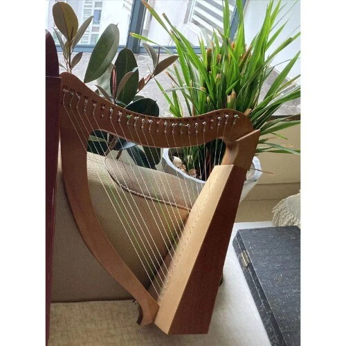 Lira Instruments Xylophone Theramin Diy Instrument Toy 19 22 String Lyre Harp - Picture 4 of 20