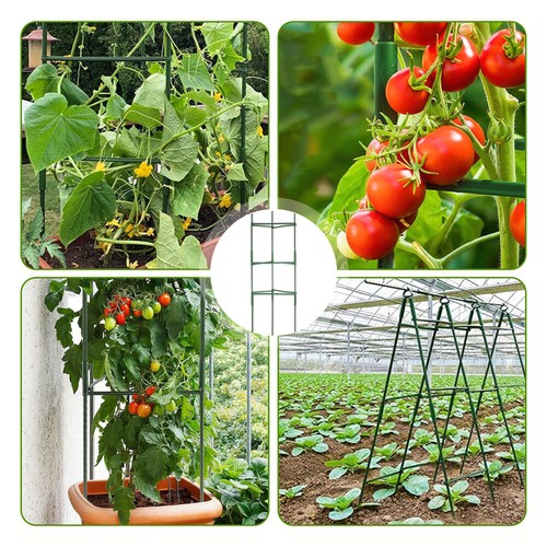 27 Stück Pflanzstab Rankhilfe Pflanzenstütze Pflanzstäbe Verbinder Tomatenstab - Bild 3 von 14