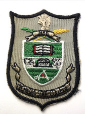 VTG Michigan State College patch 4" older-