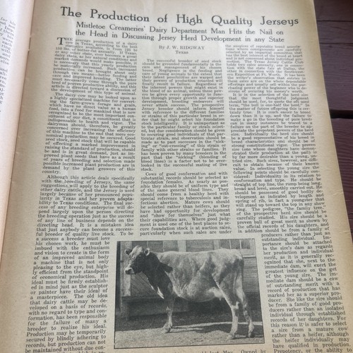 The Jersey Bulletin Dairy World Magazin 10. August 1921 - Abschied Sammlung - Bild 10 von 21