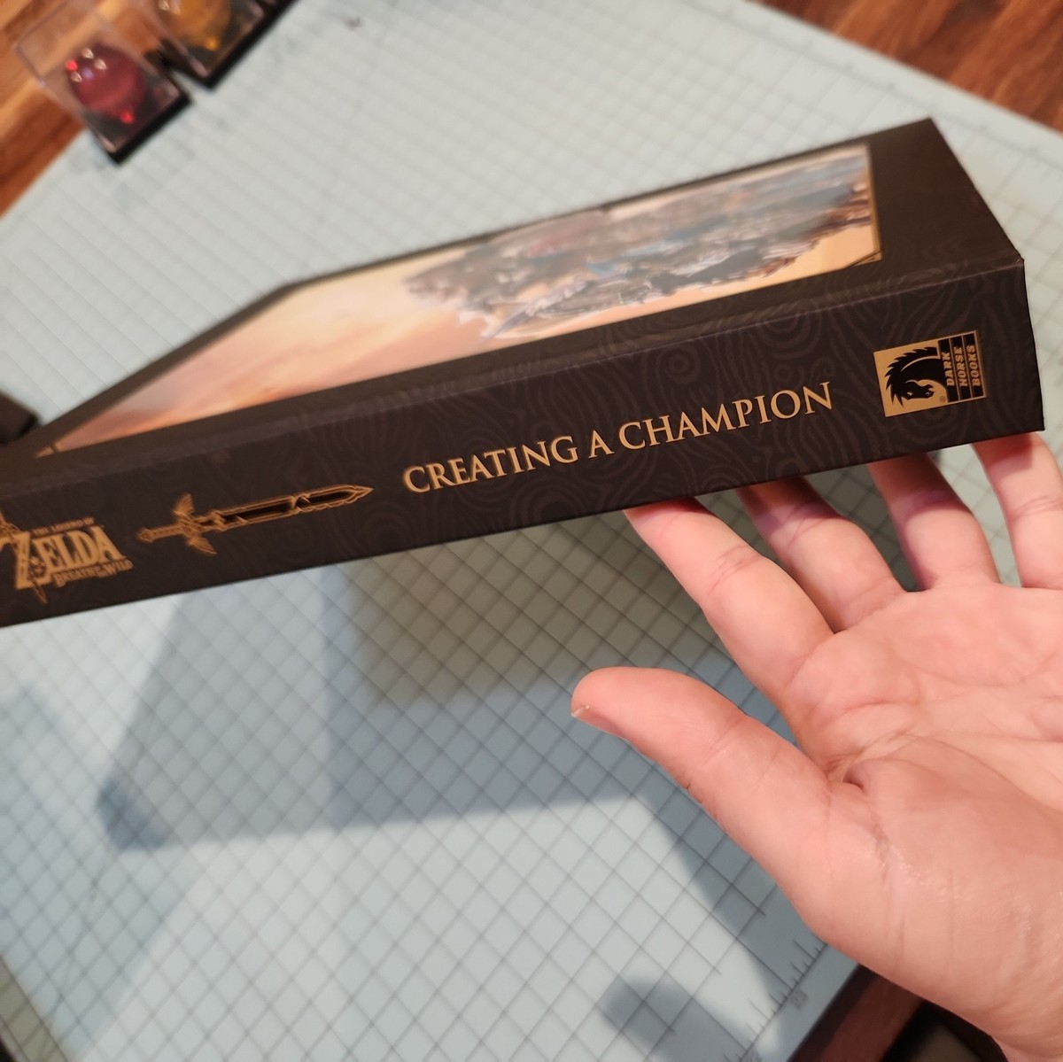 The Legend of Zelda Breath of the Wild - Creating a Champion