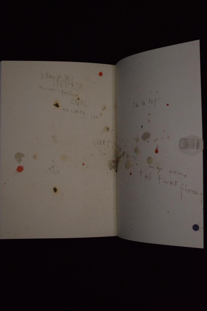 【Mark Borthwick: If We're Pioneer's】 If We're Pioneer's | Mark Borthwick