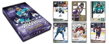 2024-25 Upper Deck PWHL Minnesota Frost Base Team Set No YG's