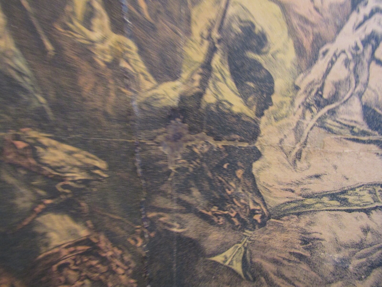Picture 7 of 24