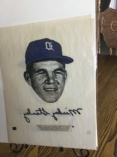 1968 "WORLD CHAMPIONS" Detroit Tigers Baseball T-Shirt Transfers - Bild 17 von 18