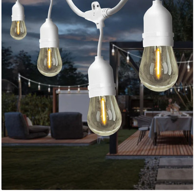 Feit Electric 48' LED Filament String Light 24 bulbs waterproof Indoor/outdoor