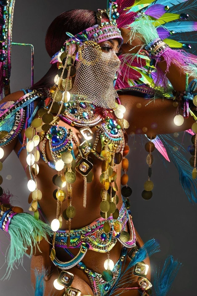 Fantasia de Carnaval Sutiã de Arame Guerreiro – Roupa de Festival de Penas Feita à Mão - Imagem 2 de 3