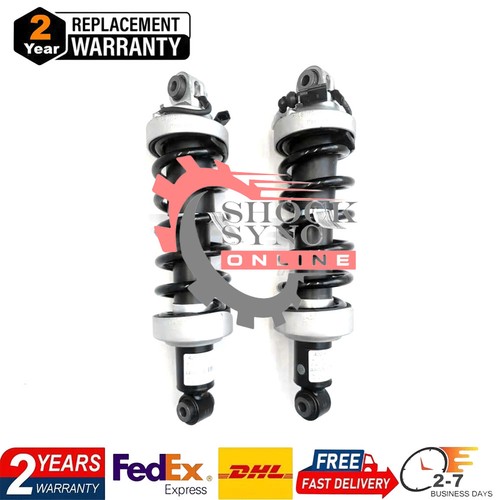 Audi R8 2009-2015 Rear Left Air suspension struts 2 pcs P/N 420512019G Photo - $190