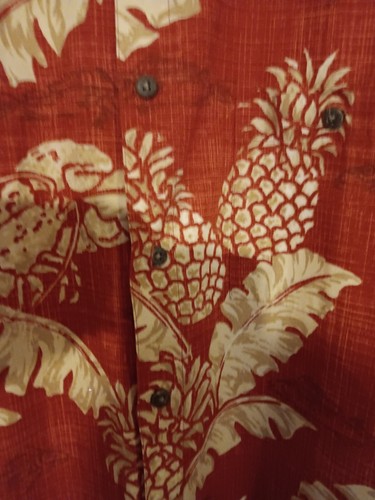 Size XL Campio Moda Cotton Button Up Shirt - Picture 3 of 7