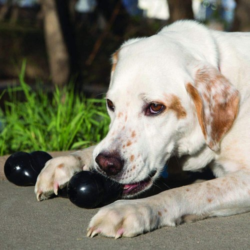KONG Extreme Goodie Bone Durable Dog Toy for Tough Chewers Natural Rubber - 第 2/8 張圖片