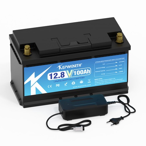 LiFePO4 Lithium Leisure Battery 12V 24V 100 300AH BMS RV Solar 20000+Cycles - Picture 7 of 83