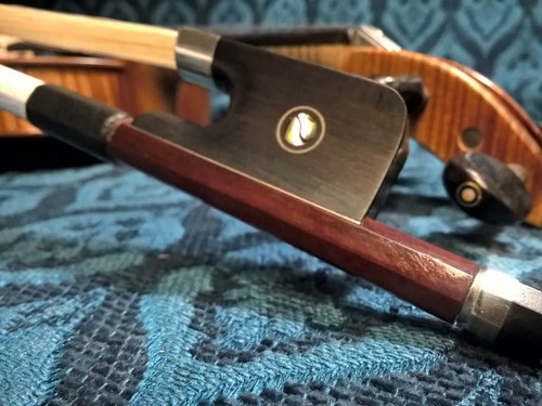 Big Thanks Promo! Brazilwood Cello Bow 3/4 #320 Oct Ebony lined Paris Eye Frog - Picture 3 of 12