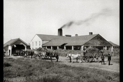 Post's sugar mill,industrial facilities,Louisiana,LA,Detroit Publishing Co,1890