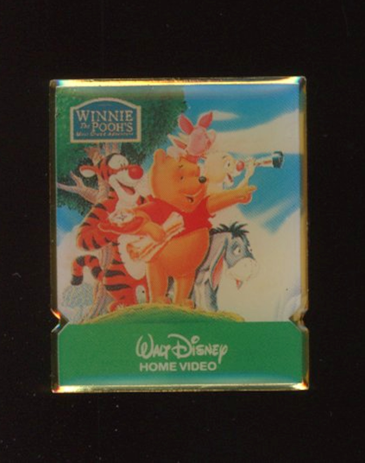 Japan Home Video Winnie The Pooh Search for Robin Disney Pin