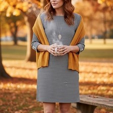 Banana Republic Dress Medium Navy Blue Stripe 3/4 Sleeve Boat Neck Preppy