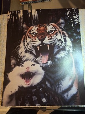 tiger and white & black cat friends in woods 8x10 in. poster new (p13)