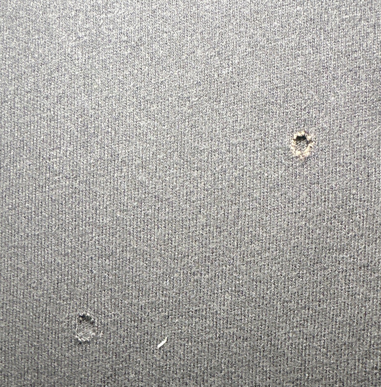 Picture 12 of 16