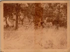 Vtg Color Photo 1942 WW2 US Army Soldiers Men 113th Engineers Camp Livingston LA