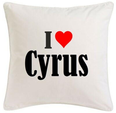KISSENBEZUG I LOVE CYRUS 40CMX40CM AUS MIKROFASER