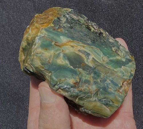 Hampton Butte Jasper Petrified Wood Colorful Opalized 258 Grams or 9 Oz's Oregon - Bild 6 von 9
