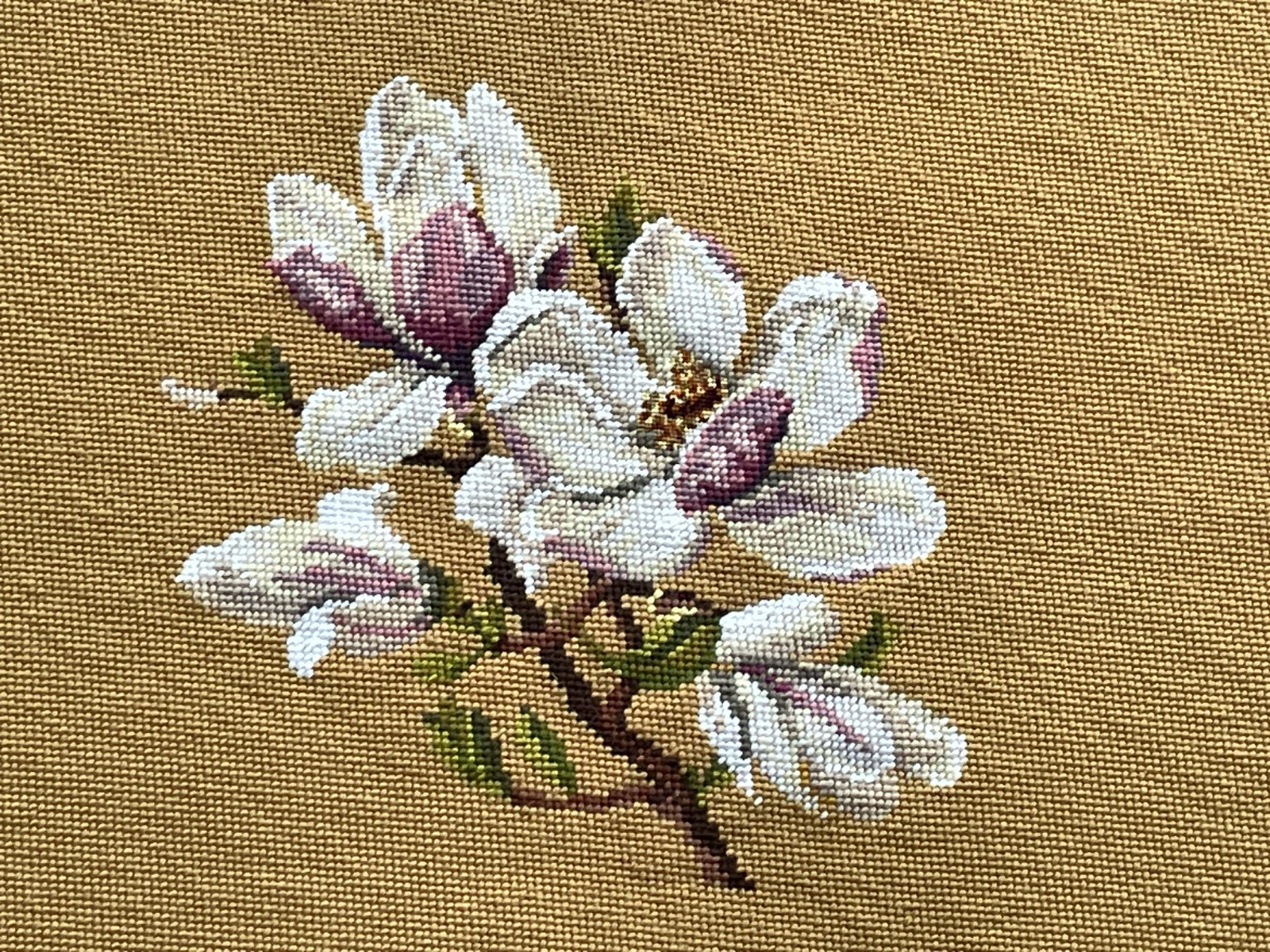Picture 3 of 15