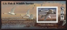 US.# RW83A  2016/2017 Federal Duck Stamp MINT POST OFFICE FRESH! 