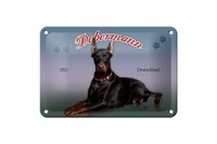Blechschild Hund 18X12 Cm Dobermann 1850 Deutschland Deko Schild