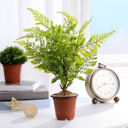 10 Pcs Seedling Pot Nursery Transplanting Planter Container Succulent Pots - Picture 11 of 12