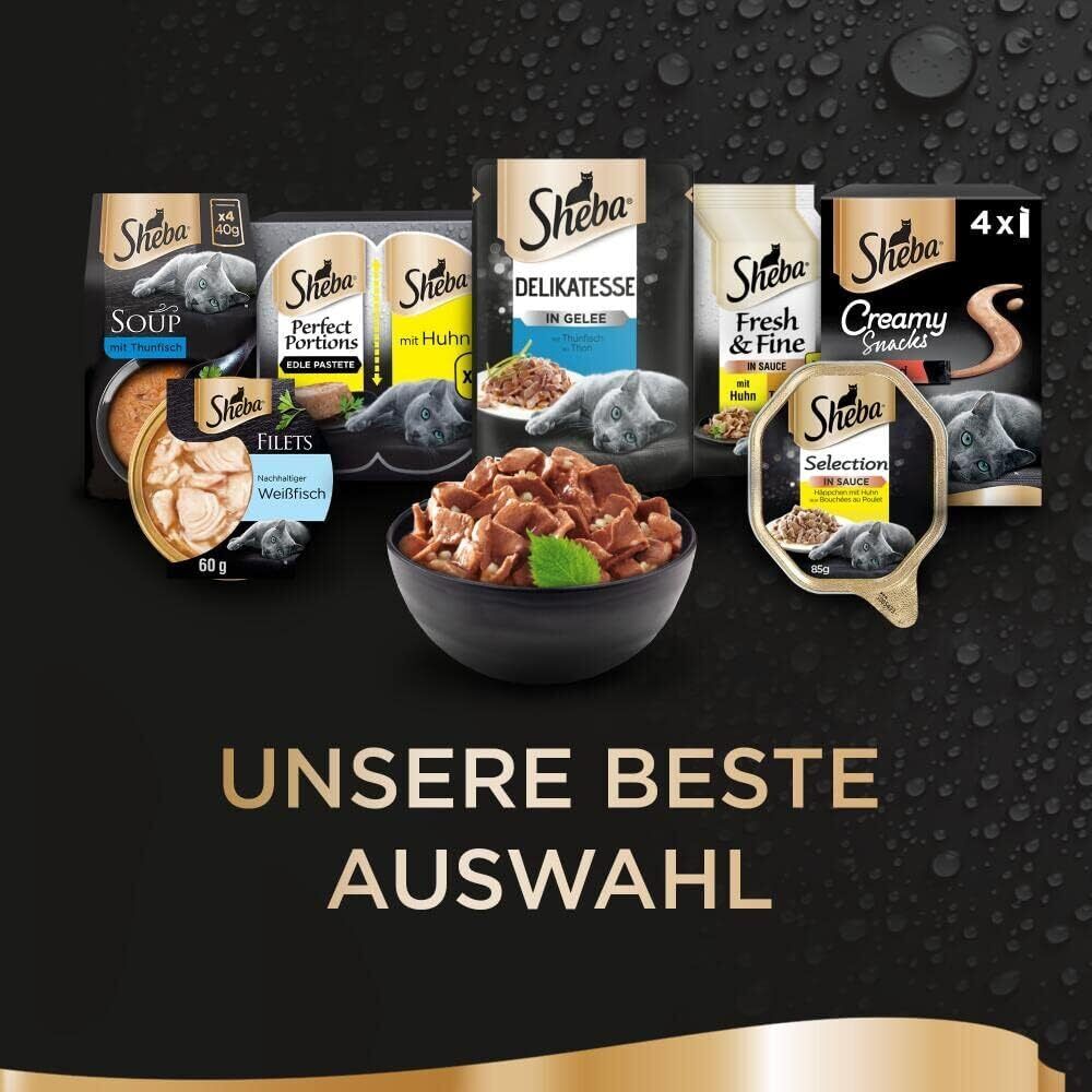 Bild 6 von 6