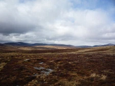 Photo 6x4 Raised Bog Calvine  c2008