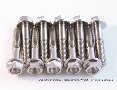 SCAR STIM6X60-01 Titan-Schraubensatz M6x60 von 1