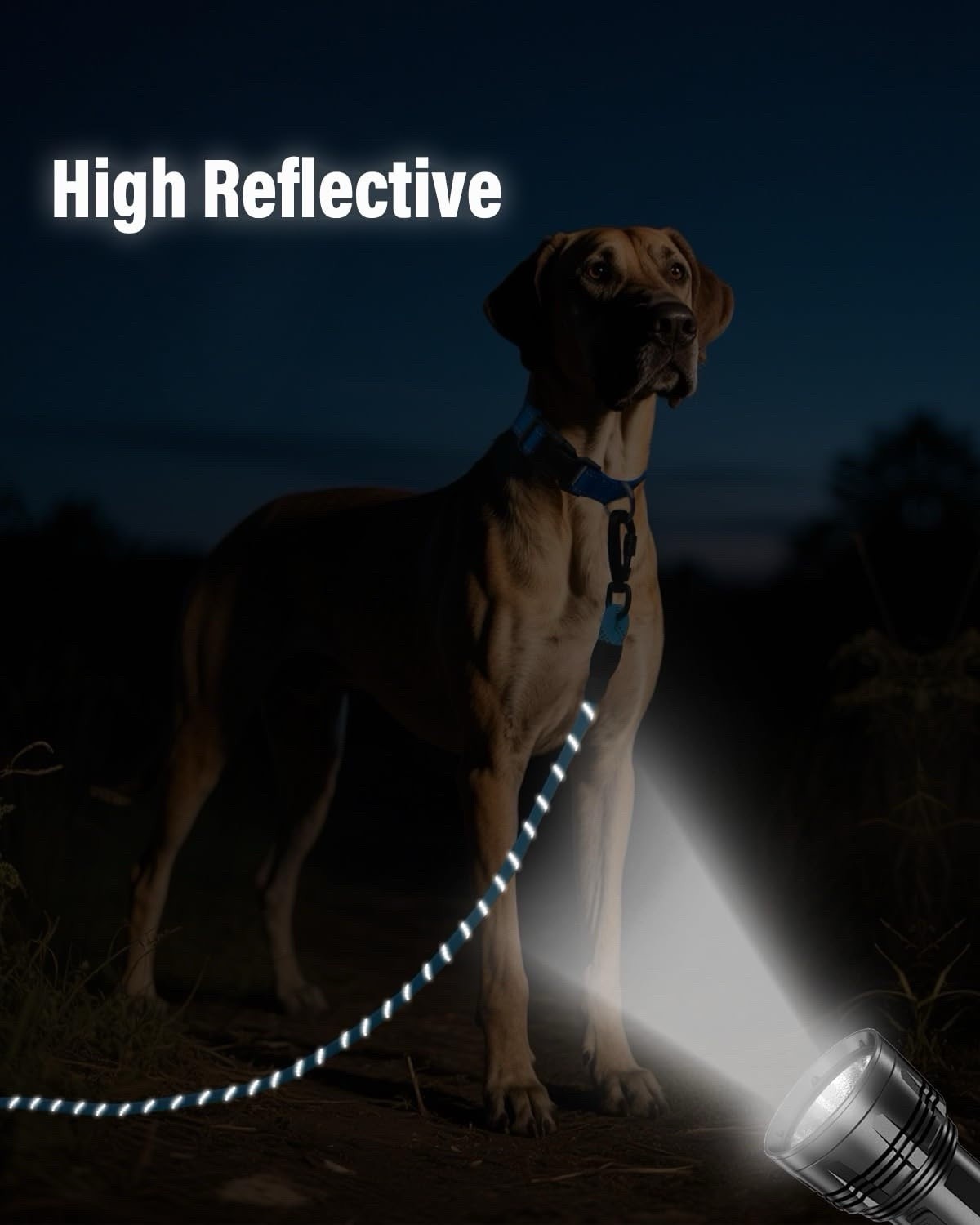 Long Leash for Dog with Removable Padded Handle For Large Medium Dogs 50ft Blue