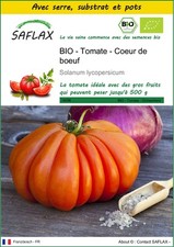 SAFLAX - Kit de culture - BIO - Tomate - Coeur de boeuf - 10 Graines
