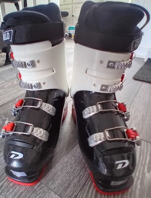 Dalbello Viper V60 Skischuhe